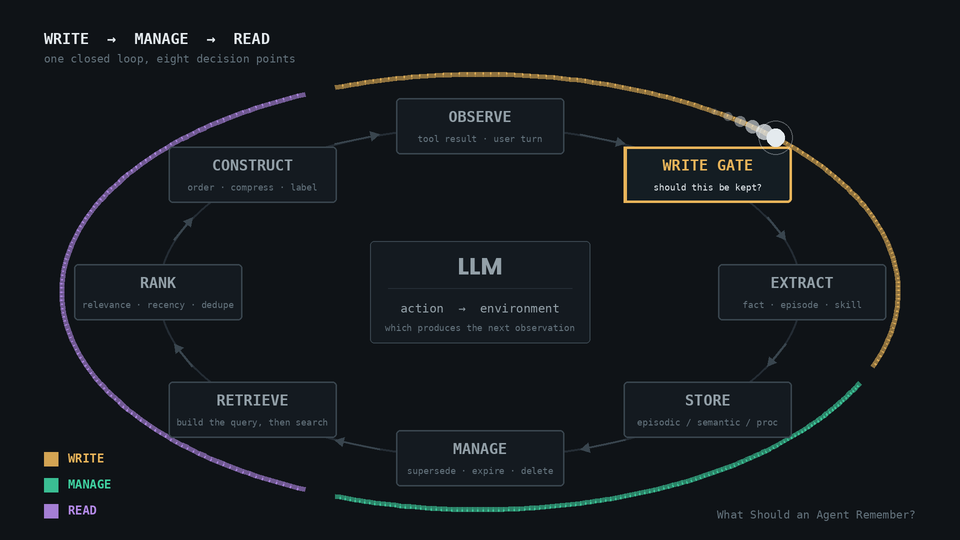 Animated agent memory loop covering write, manage, retrieve, rank, and context construction.