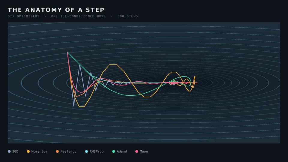 Animated optimizer trajectories comparing how different update rules move across a loss landscape.